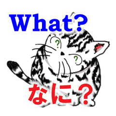 [LINEスタンプ] 猫で会話 英単語 初級