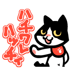 [LINEスタンプ] ハチワレハッチィの画像（メイン）