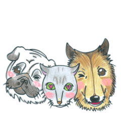 [LINEスタンプ] 犬と猫の毎日の画像（メイン）