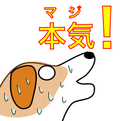 [LINEスタンプ] 可愛いコイケルのクレアちゃんの画像（メイン）