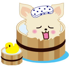 [LINEスタンプ] ちわわんこの画像（メイン）