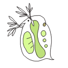 [LINEスタンプ] 微生物の画像（メイン）