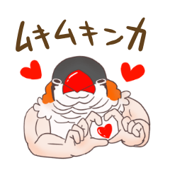 [LINEスタンプ] ムキムキンカちゃんと楽しい仲間達！