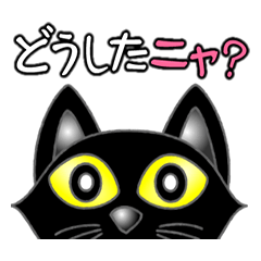 [LINEスタンプ] 黒猫のロクの画像（メイン）