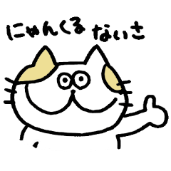 [LINEスタンプ] ねこびより2