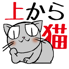 [LINEスタンプ] 上から猫