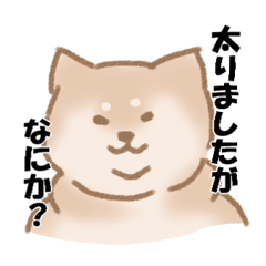 [LINEスタンプ] しばけん！