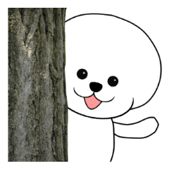 [LINEスタンプ] アフロわんこ、おもち君の画像（メイン）