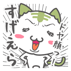 [LINEスタンプ] 静岡弁スタンプ！しぞ〜かねこっ！