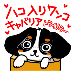 [LINEスタンプ] かわいいワンコ♥（キャバリア・トライ）