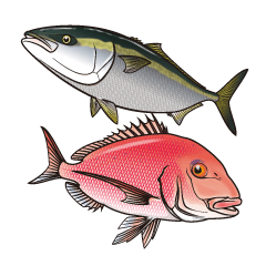 [LINEスタンプ] 釣魚スタンプの画像（メイン）