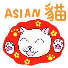 [LINEスタンプ] アジアン猫の画像（メイン）