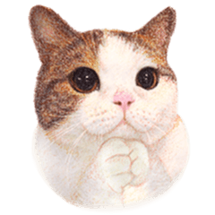 [LINEスタンプ] Kingdomoftigers