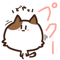 [LINEスタンプ] ゆるねこズ スタンプ