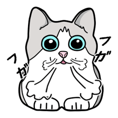 [LINEスタンプ] うちのねこどもの画像（メイン）