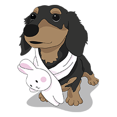 [LINEスタンプ] Cute Dachshund！！の画像（メイン）