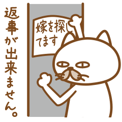 [LINEスタンプ] ヨメを探している猫の画像（メイン）