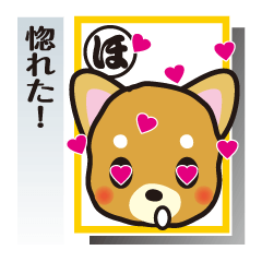 [LINEスタンプ] 「犬かる」パート1の画像（メイン）