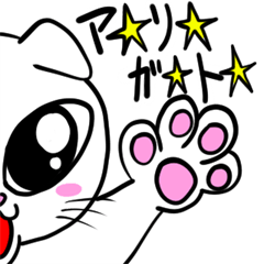 [LINEスタンプ] たれみみ猫のスコのあいさつの画像（メイン）