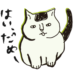 [LINEスタンプ] うちの猫 ぷうちゃん