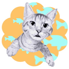 [LINEスタンプ] My cat Tama's stickers [For English]の画像（メイン）