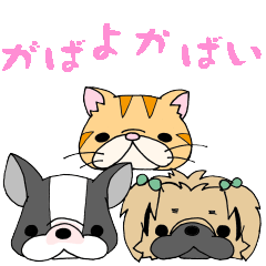 [LINEスタンプ] フレブル×フレンズ  ちっご弁・八女弁編