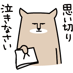 [LINEスタンプ] イケメン！チベットスナギツネの画像（メイン）