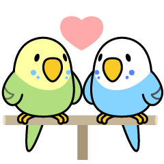 [LINEスタンプ] セキセイインコ「せきせいんこっこ」