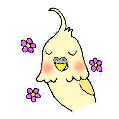 [LINEスタンプ] まんまるおめめオカメインコくん