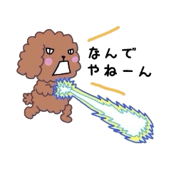 [LINEスタンプ] プードルさん