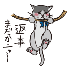 [LINEスタンプ] あなたのニャコ(猫)