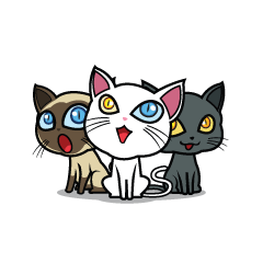 [LINEスタンプ] 17 Siamese Catの画像（メイン）