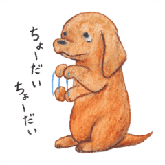 [LINEスタンプ] ミニチュアダックス ミニ丸