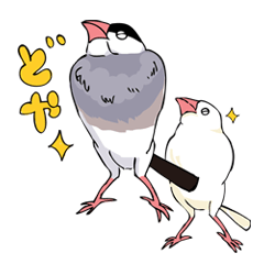 [LINEスタンプ] 文鳥の毎日の画像（メイン）