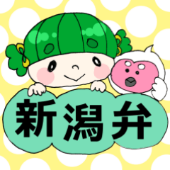 [LINEスタンプ] だんこちゃんの新潟弁スタンプの画像（メイン）