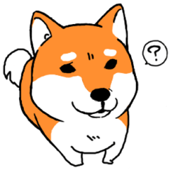 [LINEスタンプ] 柴犬のコジロー