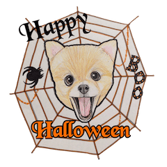 [LINEスタンプ] ハロウィン ポメラニアン スタンプの画像（メイン）