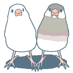 [LINEスタンプ] 文鳥づくし