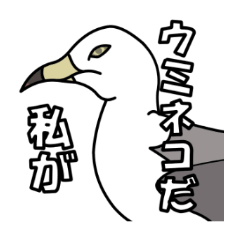 [LINEスタンプ] 青森県八戸生まれの「ウミネコさん」part1の画像（メイン）