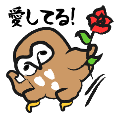 [LINEスタンプ] フクロウのボディビルダーの画像（メイン）