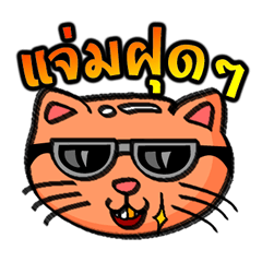 [LINEスタンプ] Cat Heads (Thai)