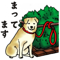 [LINEスタンプ] 犬の日常。