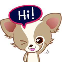 [LINEスタンプ] Lucky Chihuahua