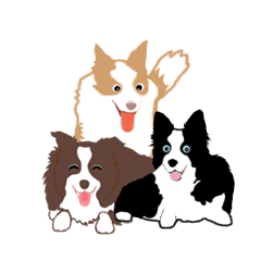 [LINEスタンプ] ボーダーコリー犬