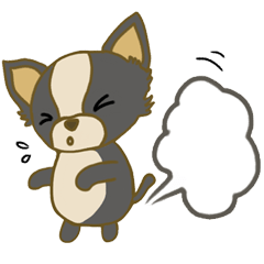 [LINEスタンプ] Chihuahua Cawaii