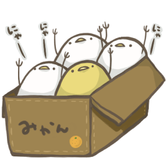 [LINEスタンプ] 白ひよこと黄ひよこ