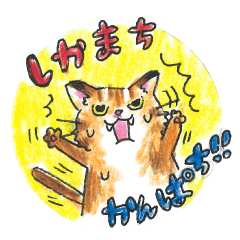 [LINEスタンプ] うちなーの愉快な仲間たち