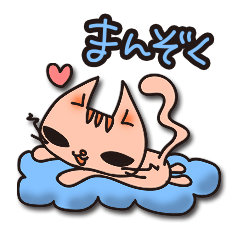 [LINEスタンプ] ポジティブで褒め上手なネコさんですの画像（メイン）