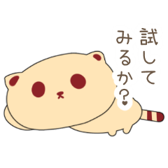 [LINEスタンプ] たぬきのクッキーの画像（メイン）