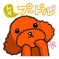 [LINEスタンプ] かわいいワンコ（トイ・プードル）と一緒♥の画像（メイン）